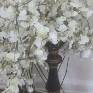 Meet your Posher, Helena